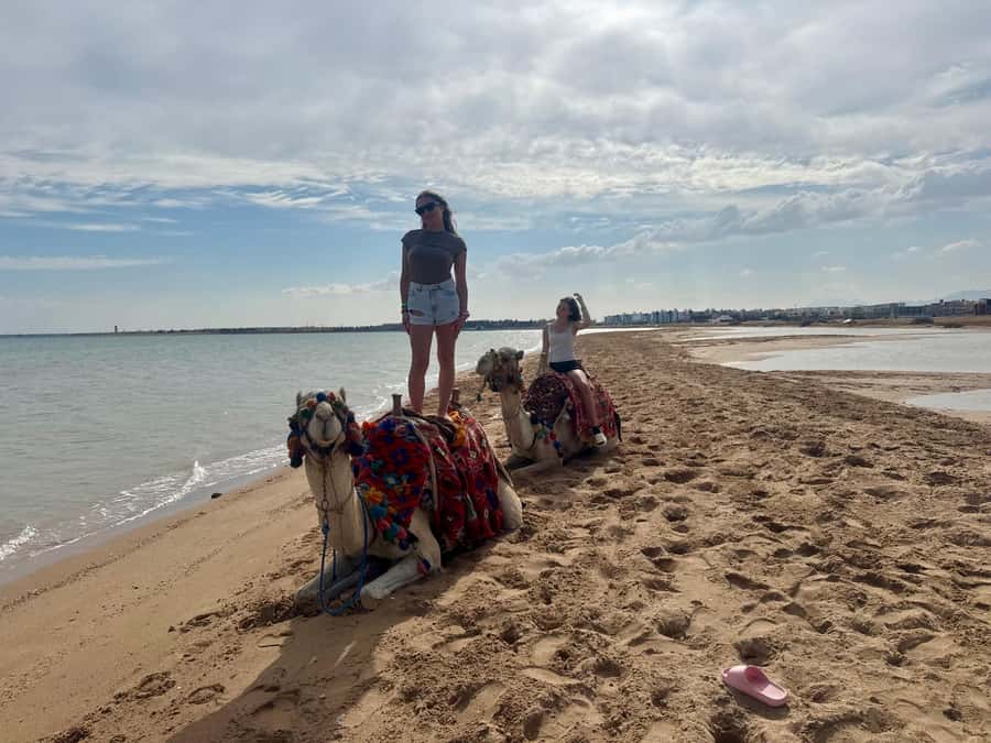Hurghada: 1-Hour Desert & Beach Camel Ride with Transfers - The stable animals add value for families