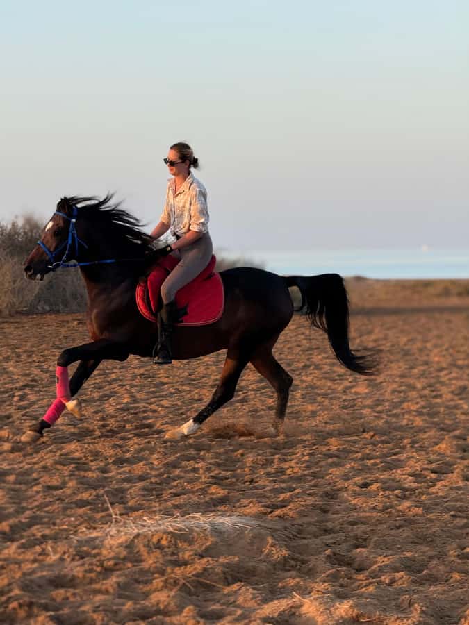Hurghada: 1-Hour Desert & Beach Camel Ride with Transfers - Guides, photos, and the small-group feel