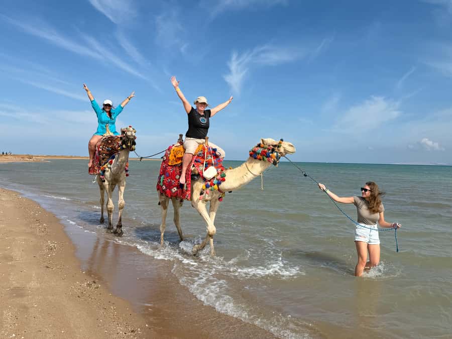 Hurghada: 1-Hour Desert & Beach Camel Ride with Transfers - Transfers from Hurghada and the timing