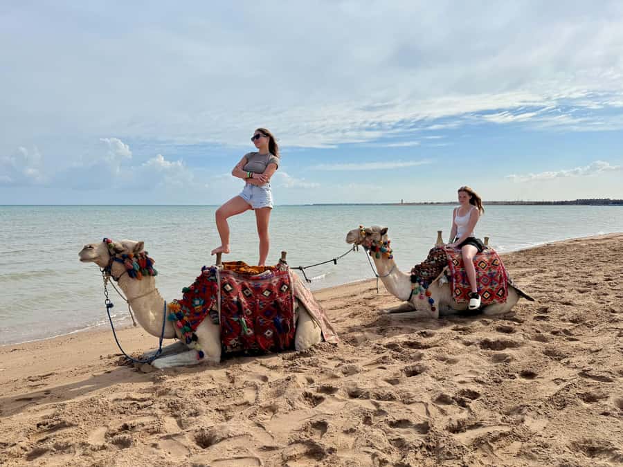 Hurghada: 1-Hour Desert & Beach Camel Ride with Transfers - Is $39 good value?