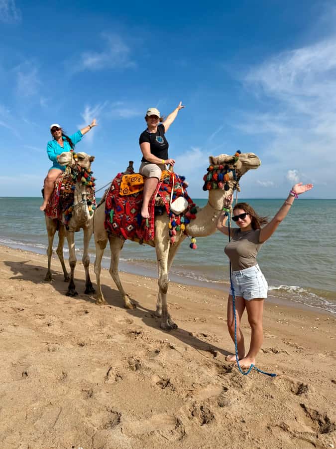 Hurghada: 1-Hour Desert & Beach Camel Ride with Transfers - A first camel ride without a steep learning curve