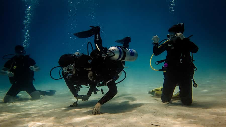 Hurghada: 3-Day PADI Open Water Diving Course - Day two: repeating skills in the Red Sea