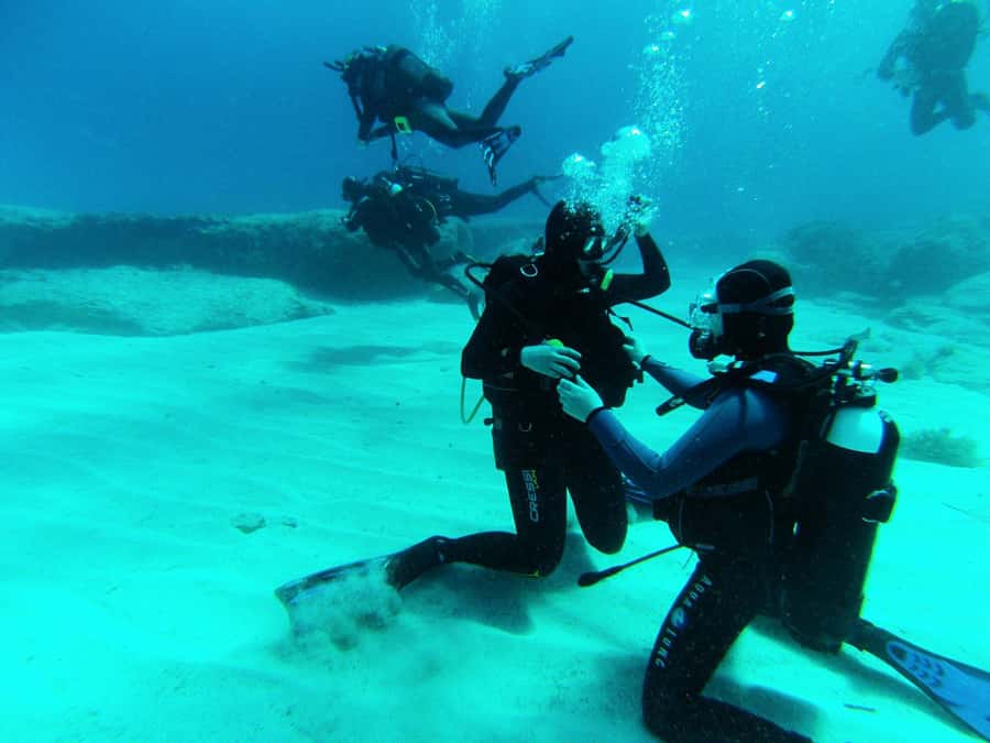Hurghada: 3-Day PADI Open Water Diving Course - The Red Sea setting and what you may see