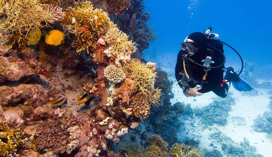 Hurghada: 3-Day PADI Open Water Diving Course - How to prepare before you arrive