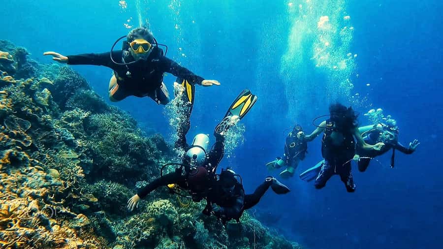 Hurghada: 3-Day PADI Open Water Diving Course - Day one: getting comfortable with equipment and water