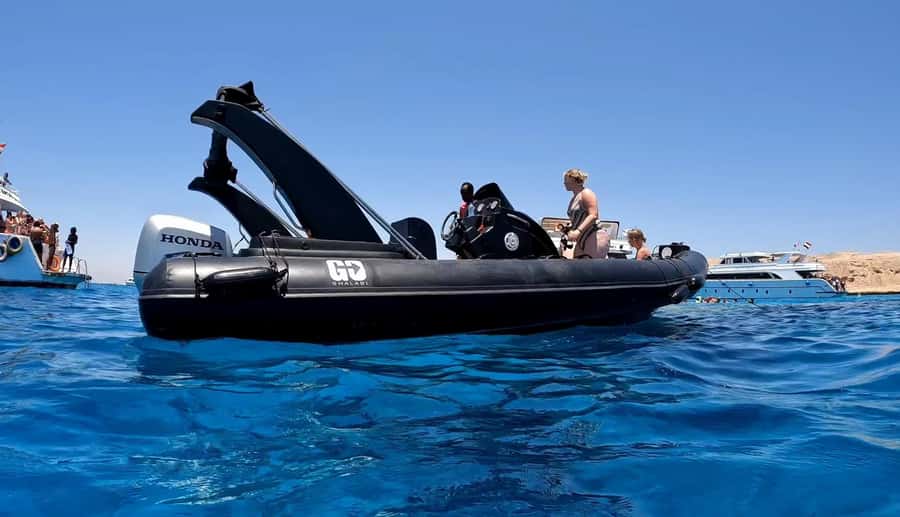 Hurghada: 3-Island Speedboat, Dolphin Watching & Snorkeling - Finding dolphins in the Red Sea