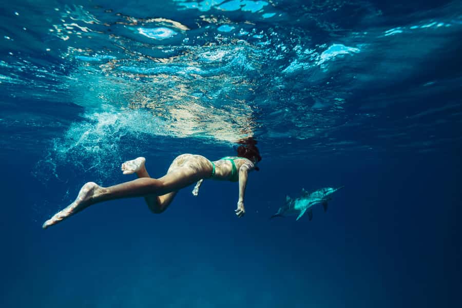 Hurghada: All-Inclusive Elite VIP Dolphin House & Massage - Snorkeling the Red Sea coral gardens