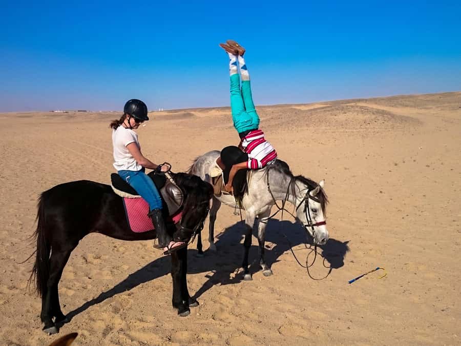 Hurghada: Arabian Desert and Sea Horseback Adventure - Is this Hurghada horseback ride worth booking?