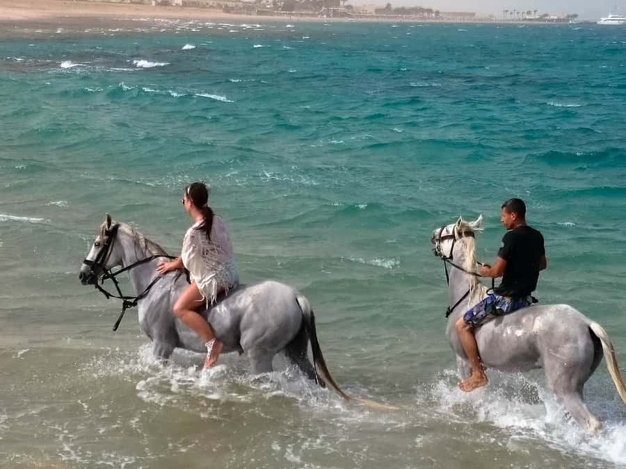 Hurghada: Arabian Desert and Sea Horseback Adventure - The beach section and the horse swimming option