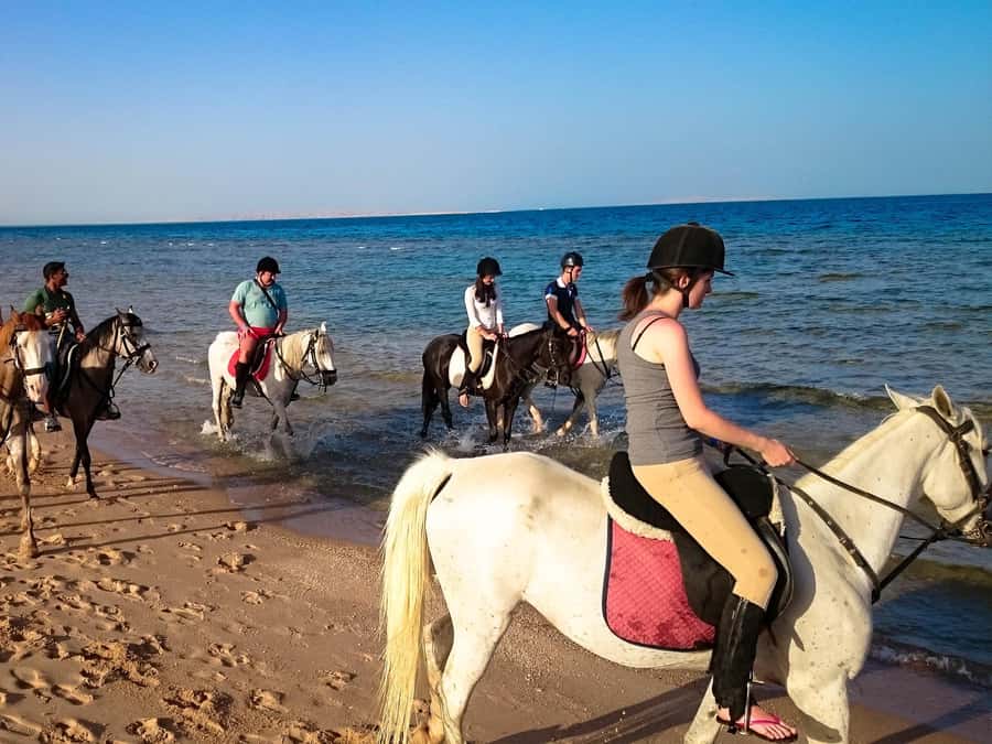 Hurghada: Arabian Desert and Sea Horseback Adventure - Dinner, music, and desert stargazing
