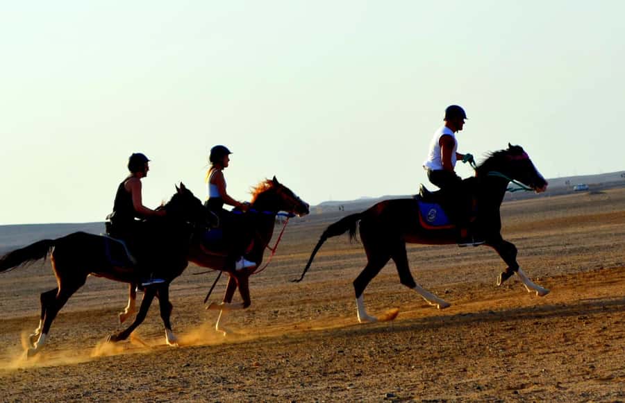 Hurghada: Arabian Desert and Sea Horseback Adventure - Photos, transfers, and what to pack