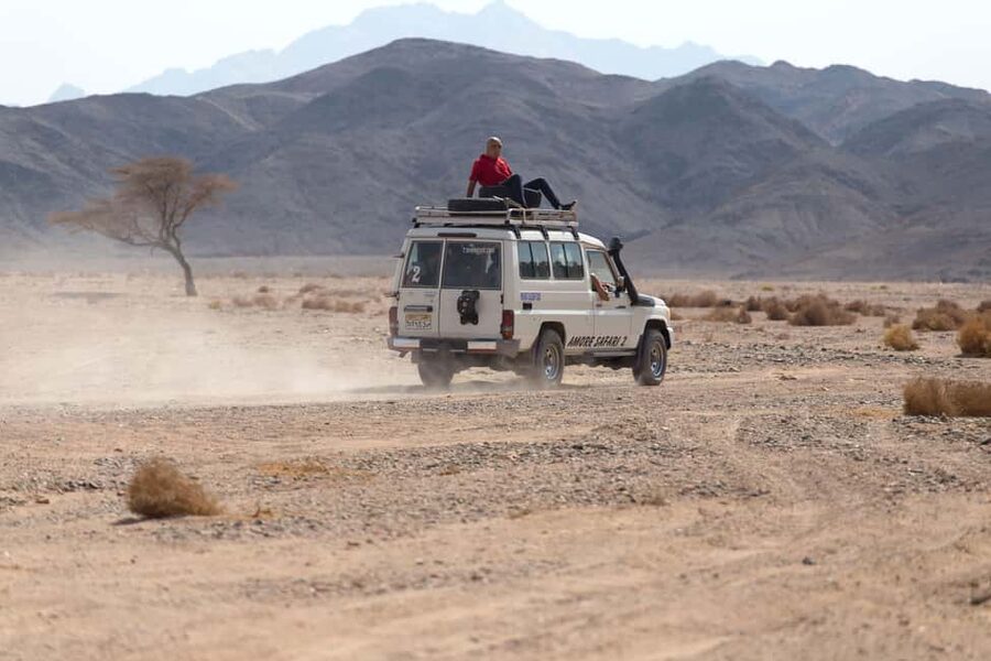 Hurghada: ATV Quad, Jeep and Buggy Safari with BBQ Dinner - A short camel ride and the desert sunset