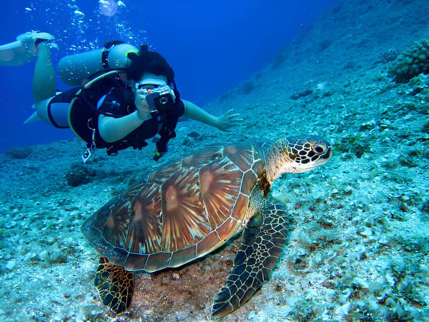 Hurghada: Beginners Scuba Diving Full-Day Boat Trip & Lunch - FAQ