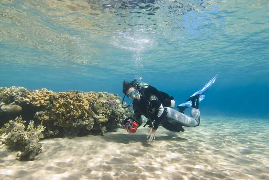 Hurghada: Beginners Scuba Diving Full-Day Boat Trip & Lunch - Lunch, hot drinks, and a $30 price tag