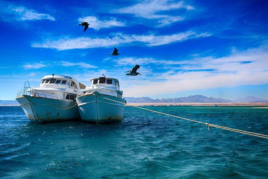Hurghada: Beginners Scuba Diving Full-Day Boat Trip & Lunch - Should you book this $30 Red Sea boat trip?