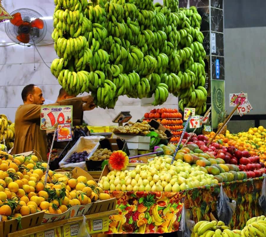 Hurghada: City Guided Tour with Local Market Stop - At a glance: what makes this Hurghada tour useful