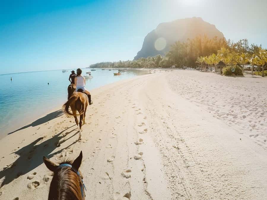Hurghada: Desert and Sea Horseback Riding Tour with Transfer - Key points at a glance