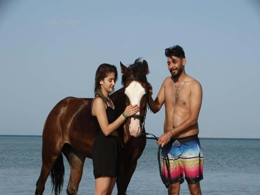Hurghada: Desert and Sea Horseback Riding Tour with Transfer - Final verdict: a strong short excursion with one important caveat