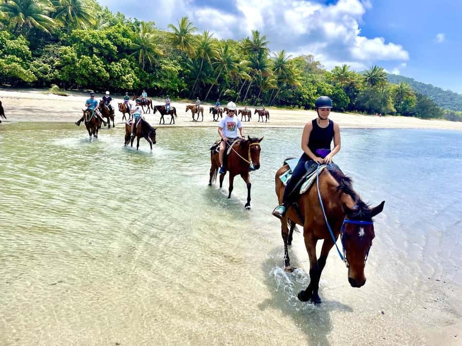 Hurghada: Desert and Sea Horseback Riding Tour with Transfer - The safety briefing and first steps in the saddle