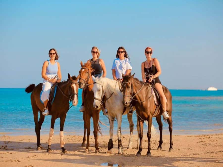Hurghada: Desert and Sea Horseback Riding Tour with Transfer - The guide makes the difference