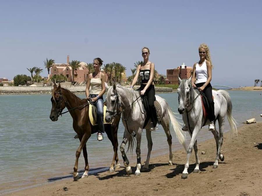 Hurghada: Desert and Sea Horseback Riding Tour with Transfer - What the $50 price includes