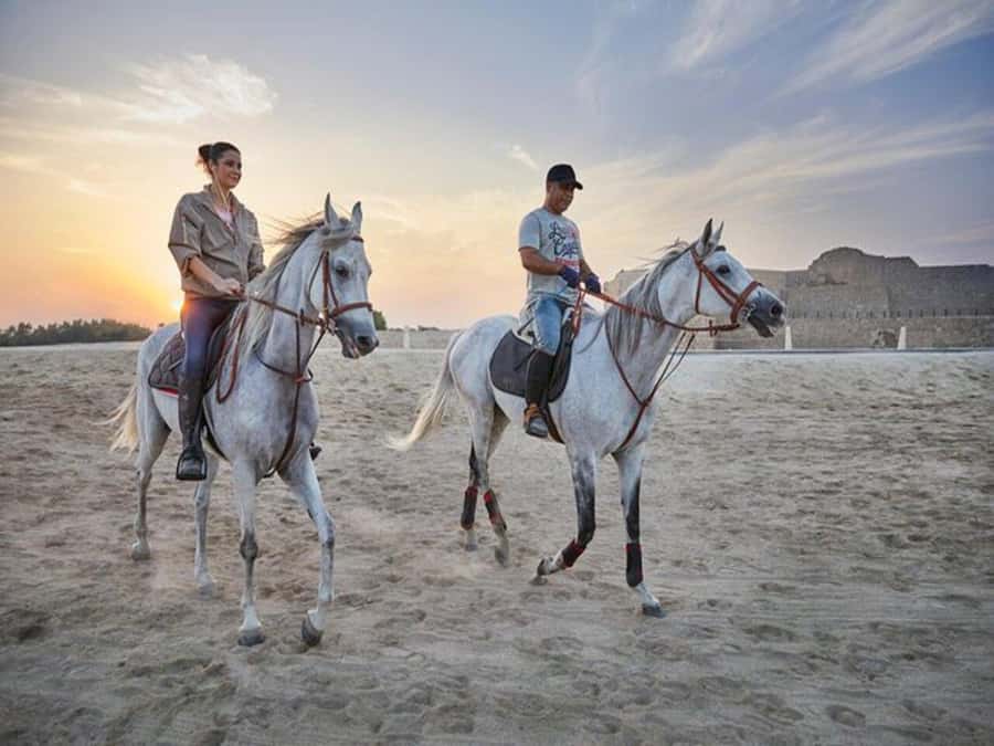 Hurghada: Desert and Sea Horseback Riding Tour with Transfer - Meeting the horses at the stable