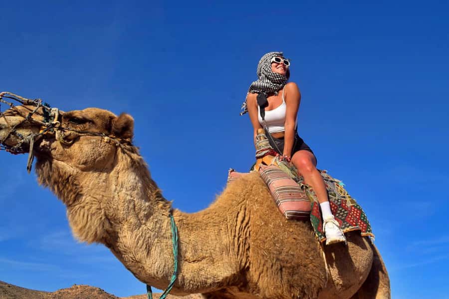 Hurghada: Desert Quad, Bedouin Village, and Camel Ride Tour - The real appeal: a long quad ride for a low price