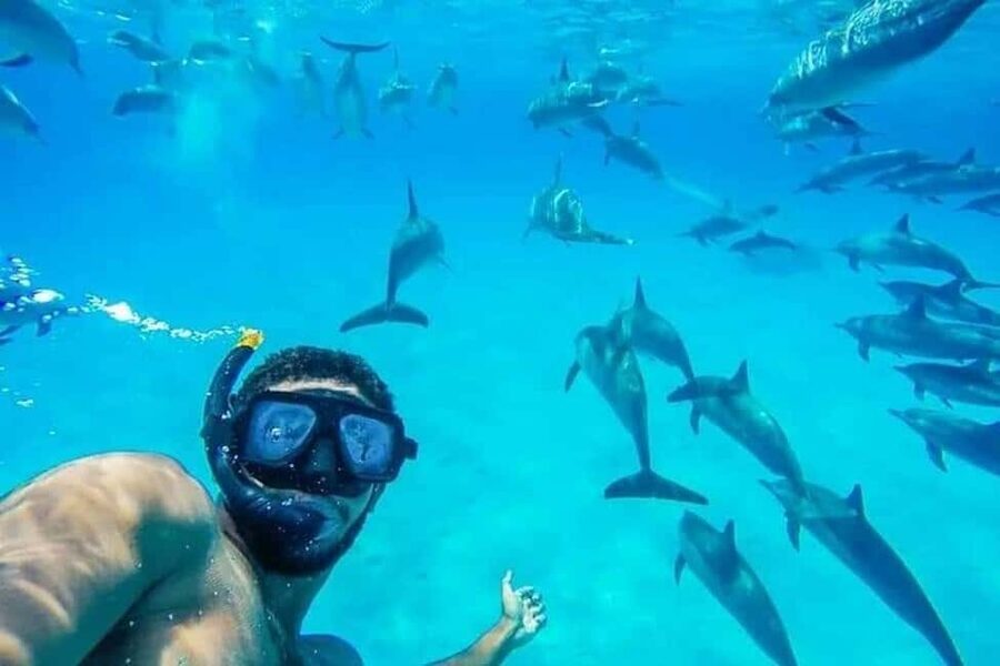 Hurghada: Dolphin & Coral Reef Snorkeling Tour with Lunch - Two snorkeling stops over Red Sea coral