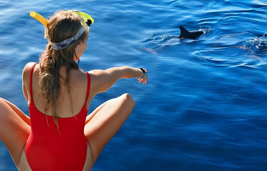 Hurghada: Dolphin Cruise with Snorkeling & Buffet Lunch - Leaving Hurghada from Public Beach Number 9