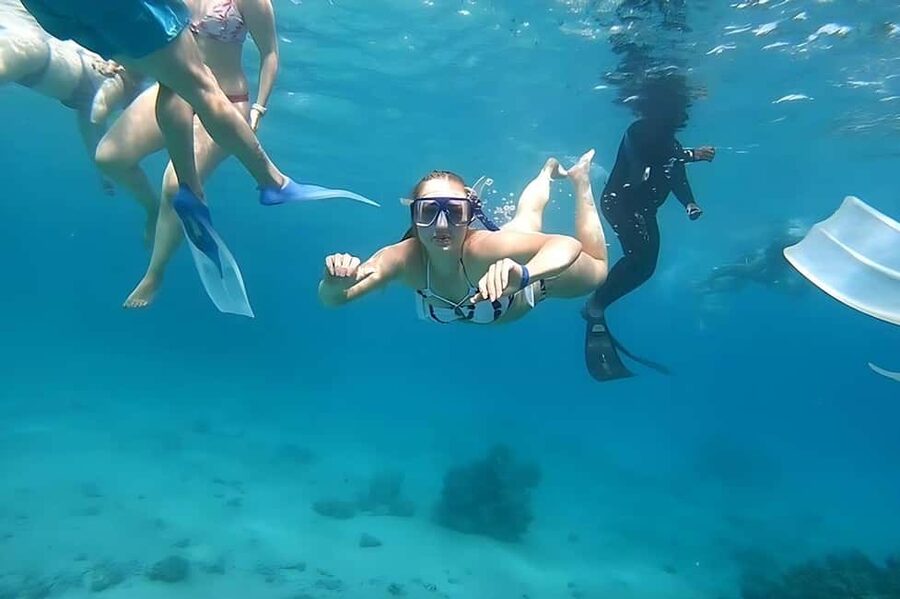 Hurghada: Dolphin Cruise with Snorkeling & Buffet Lunch - Is $26 good value for a Red Sea boat day?