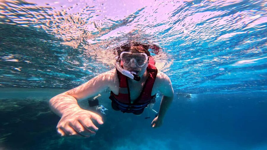 Hurghada: Dolphin Watching Boat Tour with Snorkeling & Lunch - Why the dolphin search is the main event