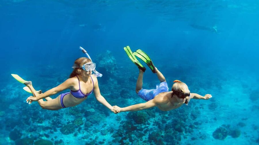Hurghada: Dolphin Watching Boat Tour with Snorkeling & Lunch - Families, beginners, and confident swimmers