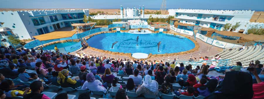 Hurghada: Dolphin World Show with Walruses and Pickup - Key points to know before you go