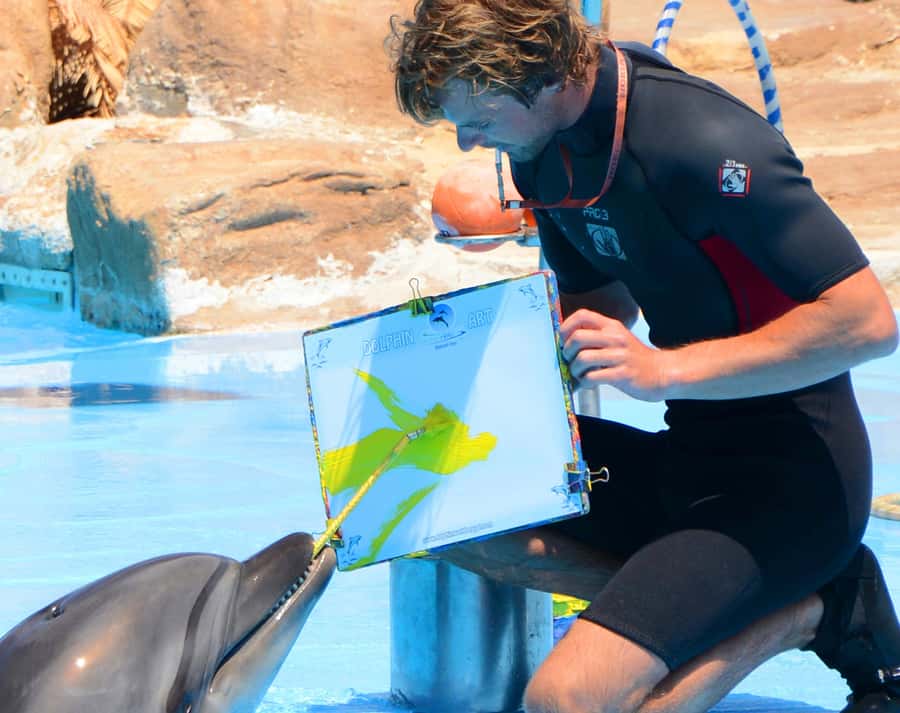 Hurghada: Dolphin World Show with Walruses and Pickup - Why children usually enjoy this activity