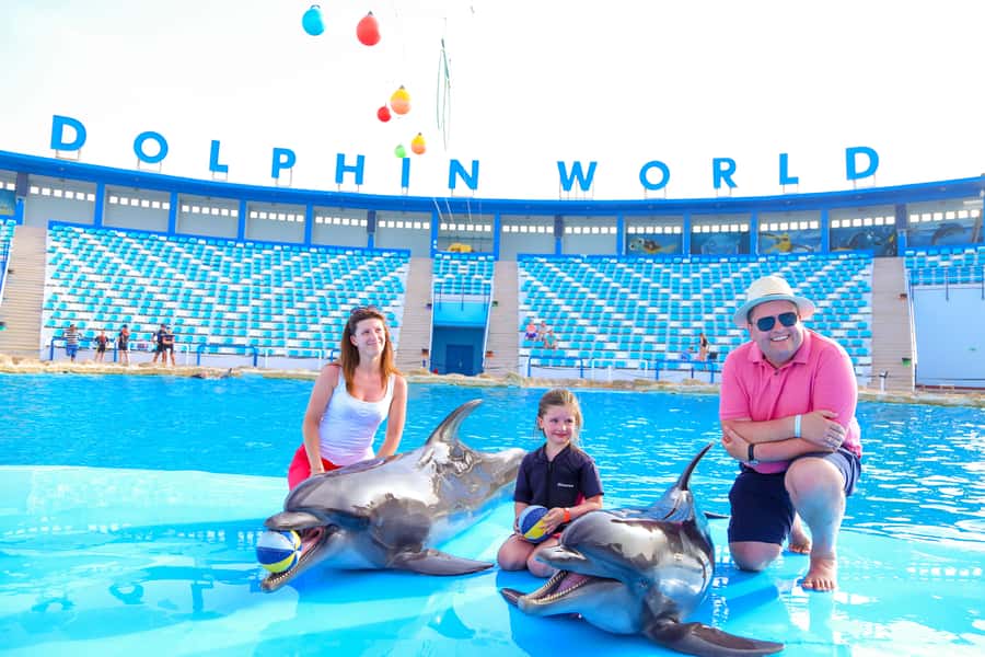 Hurghada: Dolphin World Show with Walruses and Pickup - Taking your seat for the dolphin show