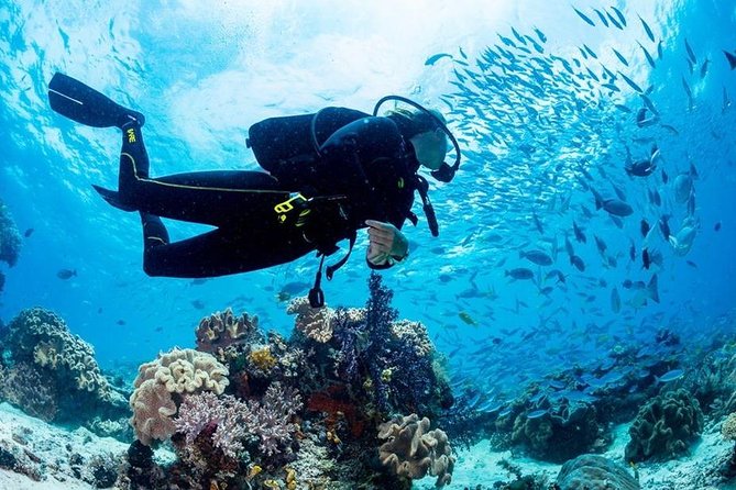 Hurghada: Full-Day Diving Tour with Lunch & Two Dive Sites - Two sites mean more variety, not a guaranteed spectacle