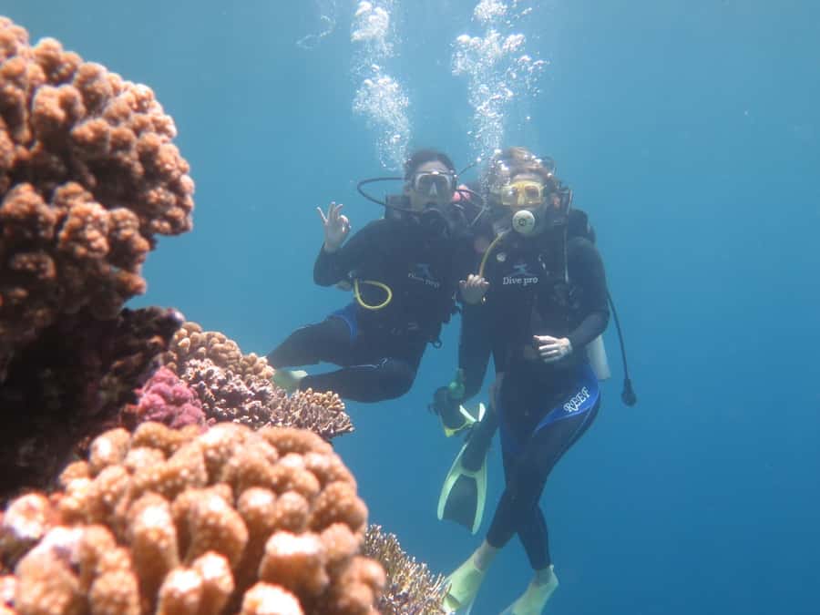 Hurghada: Full-Day Scuba Diving Tour with 2 Sites and Lunch - Your first session, handled at a beginner’s pace