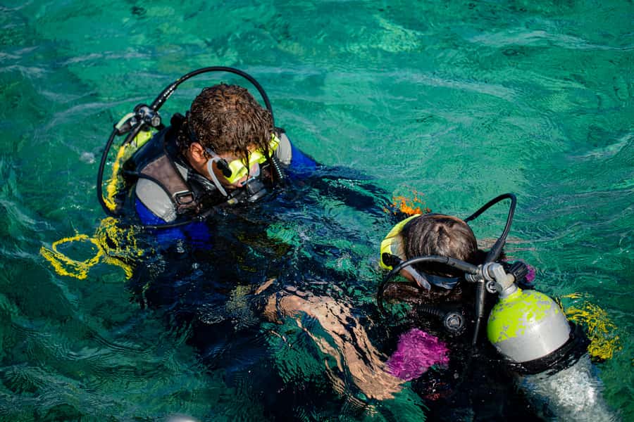 Hurghada: Full-Day Scuba Diving Tour with 2 Sites and Lunch - Two sites, two chances to see Red Sea marine life