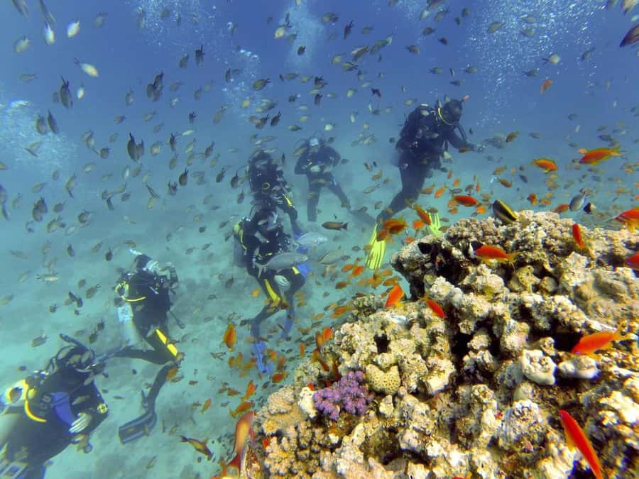 Hurghada: Full-Day Scuba Diving Tour with 2 Sites and Lunch - The boat, lunch, and time between sessions