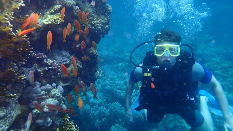 Hurghada: Full-Day Scuba Diving Tour with 2 Sites and Lunch - Photos, personal attention, and the small-group choice