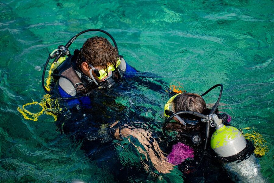 Hurghada: Full-Day Scuba Diving Tour with 2 Sites and Lunch - Is $70 good value for a full day?