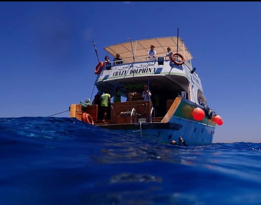Hurghada: Full-Day Scuba Diving Tour with 2 Sites and Lunch - Who should book this Red Sea experience?
