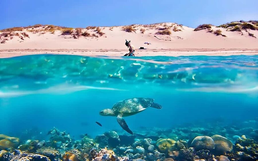 Hurghada: Giftun Island with breakfast, lunch & Water Sports - Two snorkeling stops, with different conditions
