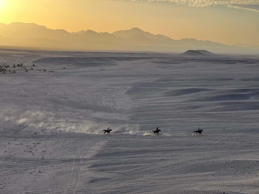 Hurghada: Horse Ride, BBQ Dinner, and Stargazing - Getting Ready for the One-Hour Horse Ride