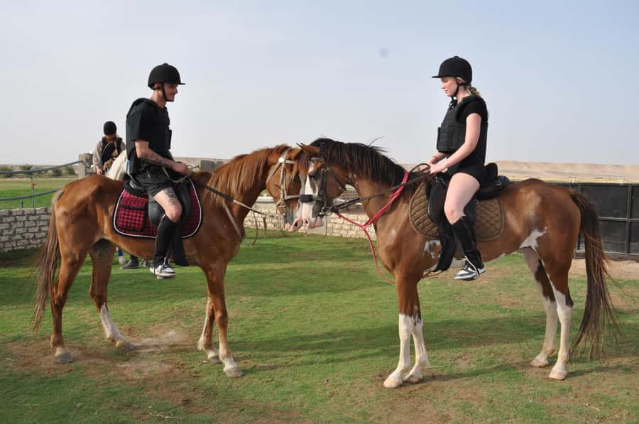 Hurghada: Horse Ride, BBQ Dinner, and Stargazing - BBQ Dinner at the Oasis