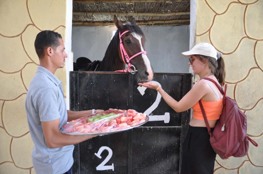 Hurghada: Horse Ride, BBQ Dinner, and Stargazing - Practical Advice Before You Go