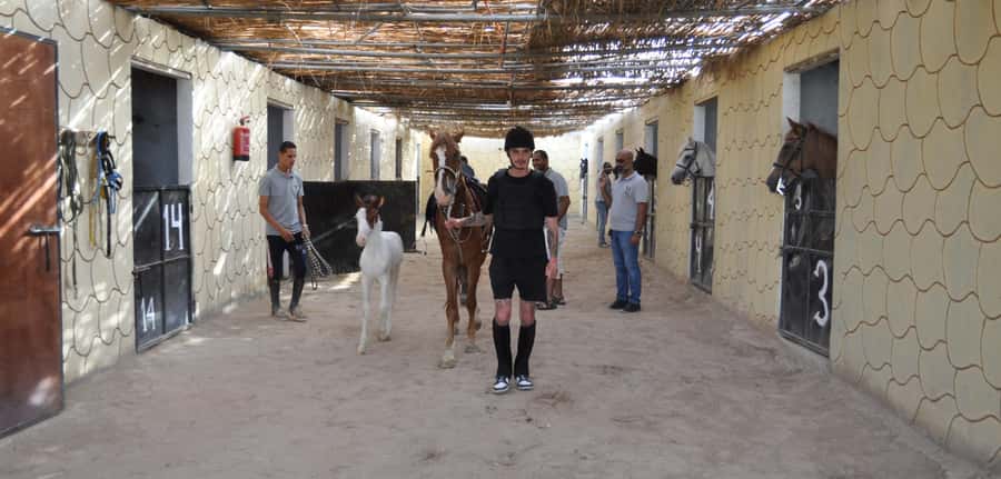 Hurghada: Horse Ride, BBQ Dinner, and Stargazing - FAQ