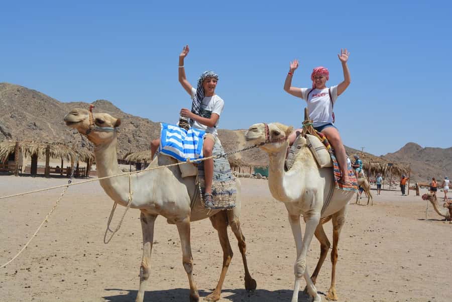 Hurghada: Jeep Safari with Camel Ride, Dinner and Show - Dinner after the dust and driving
