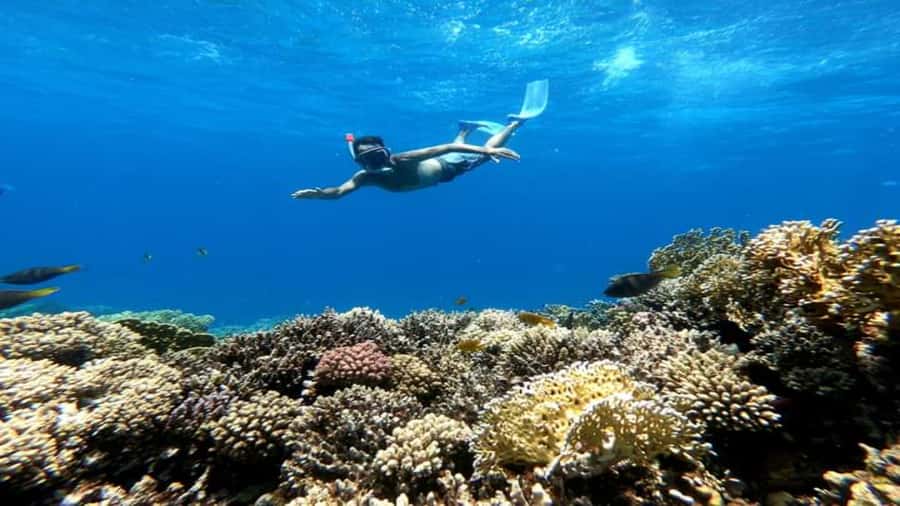 Hurghada: Luxury Cruise Trip to Orange Bay with Lunch - Snorkeling at two Red Sea sites