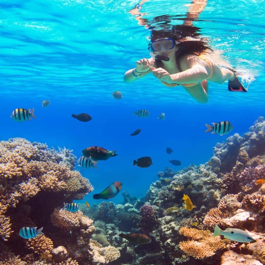 Hurghada:Luxury Diving & Snorkeling inc/Island/Lunch/Massage - What an eight-hour Red Sea day really feels like